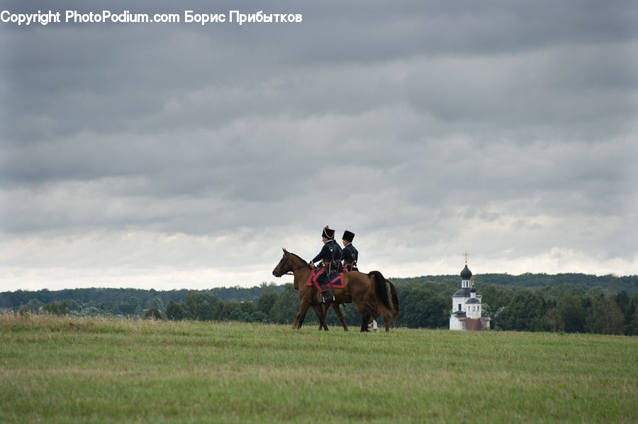 Animal, Horse, Mammal, Equestrian, Person, Field, Grass