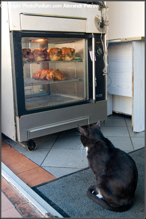 Hearth, Appliance, Oven, Food, Animal, Bbq
