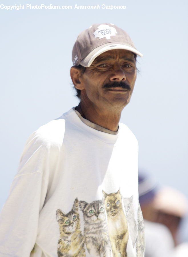 Human, People, Person, Animal, Cat, Pet, Siamese