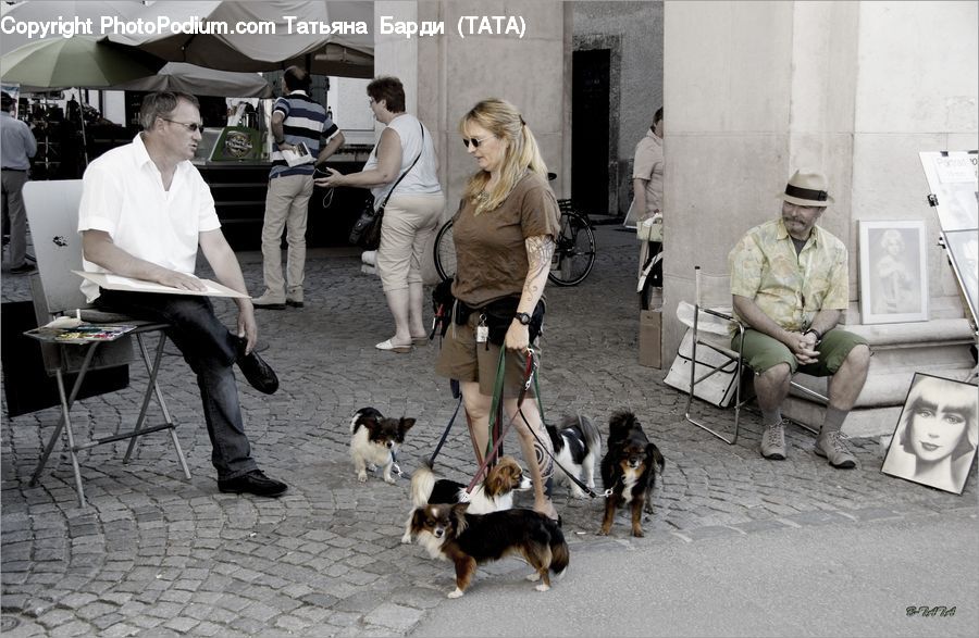 People, Person, Human, Animal, Beagle, Canine, Dog