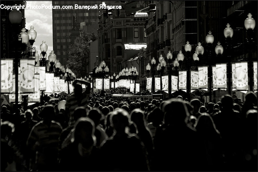Crowd, Bar Counter, Pub, Audience, Silhouette, City, Downtown