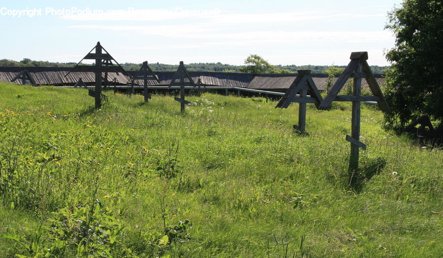 Field, Grass, Grassland, Land, Outdoors, Fence, Forest