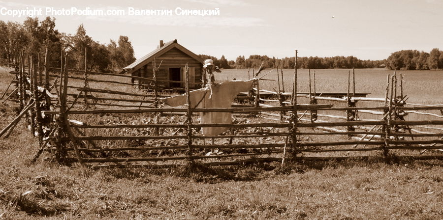 Cabin, Hut, Rural, Shack, Shelter, Countryside, Farm