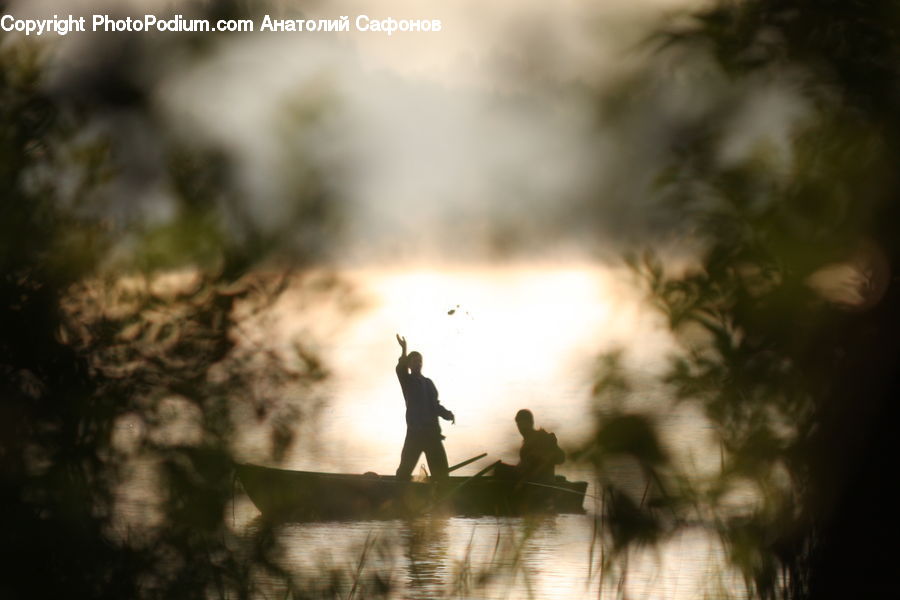 Silhouette, Bird, Crane Bird, Heron, Leisure Activities