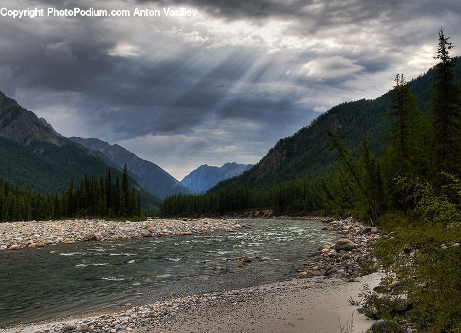 Outdoors, River, Water, Creek, Forest, Vegetation, Jungle