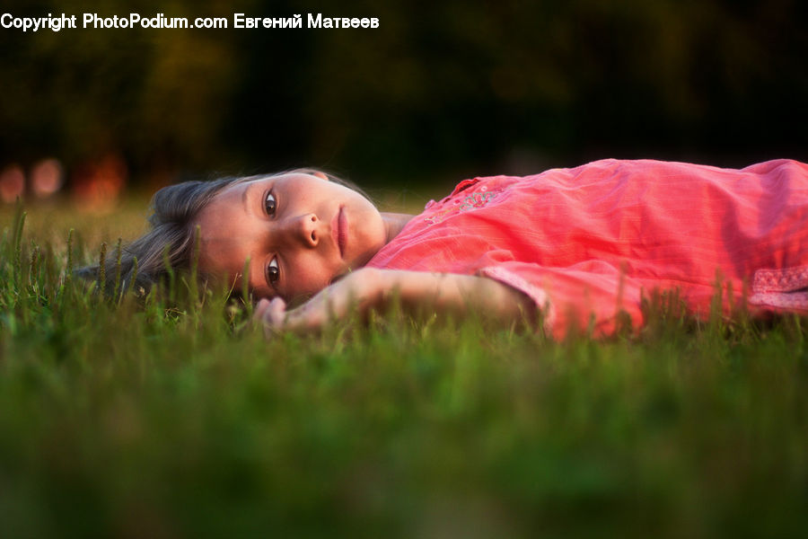 Female, Girl, Person, Woman, Baby, Child, Kid