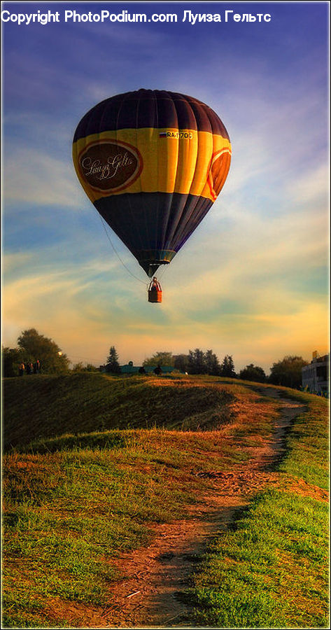 Ball, Balloon, Hot Air Balloon, Field, Grass, Grassland, Plant