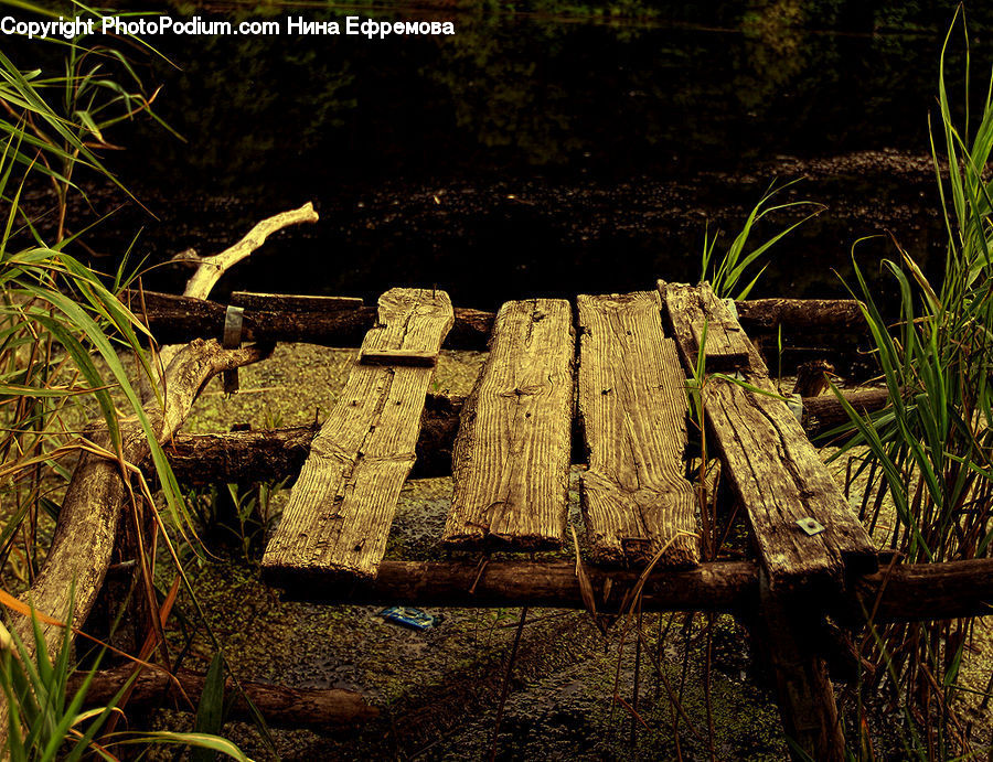 Park Bench, Bench, Reptile, Snake, Box, Crate, Plant