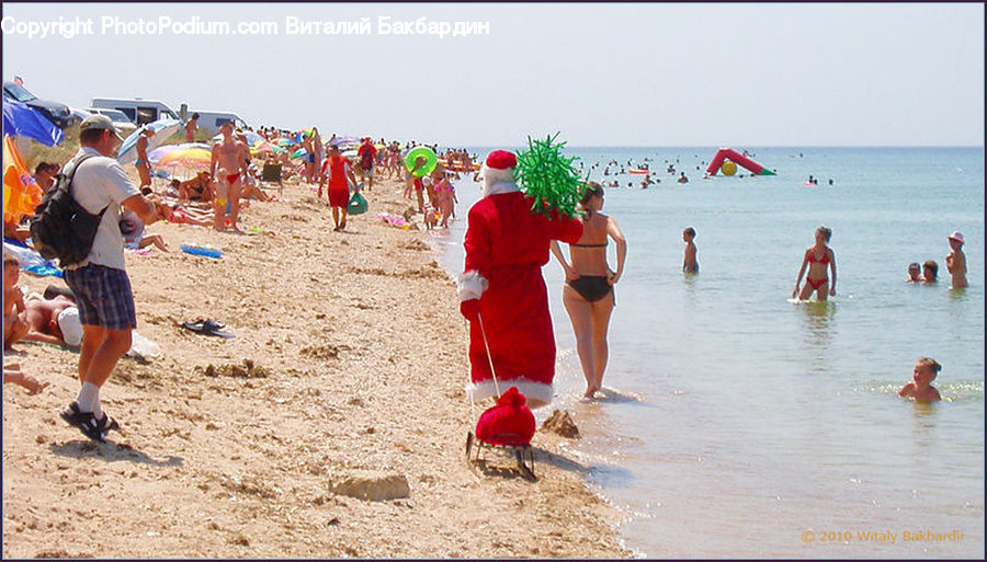 People, Person, Human, Plant, Potted Plant, Beach, Coast