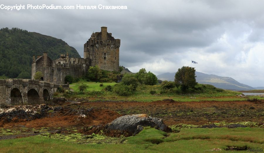 Architecture, Castle, Fort, Ruins, Animal, Mammal, Sheep