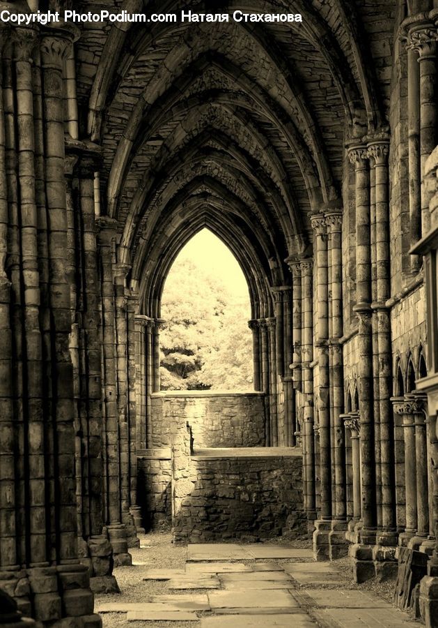 Aisle, Corridor, Crypt, Architecture, Cathedral, Church, Worship
