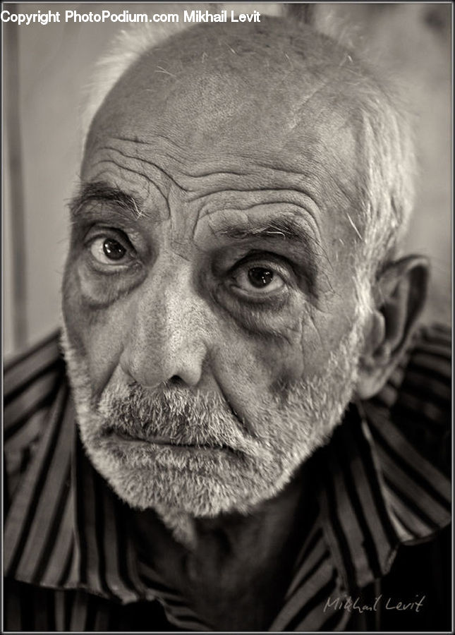 Person, Portrait, Selfie, Face, Head, People