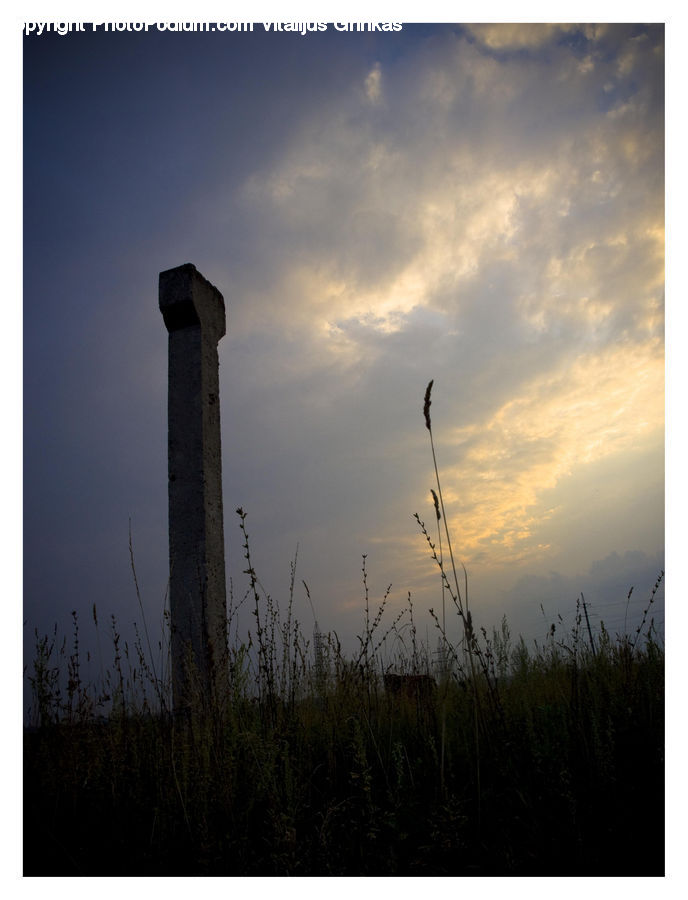 Field, Grass, Grassland, Plant, Control Tower