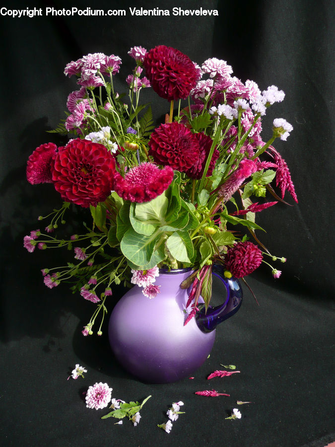 Floral Design, Flower, Flower Arrangement, Flower Bouquet, Ikebana, Blossom, Carnation