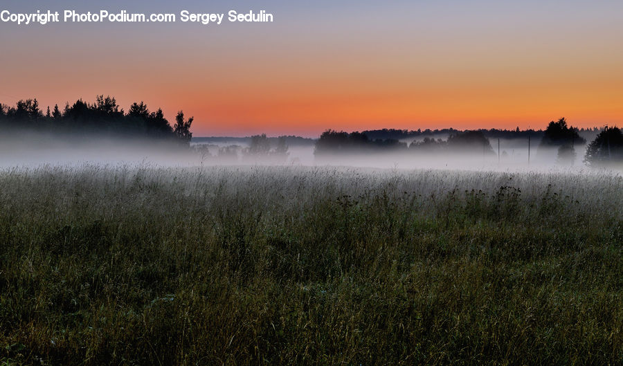 Dawn, Dusk, Sky, Sunrise, Sunset, Fog, Field