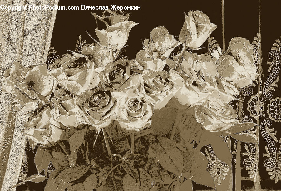 Cake, Dessert, Food, Flower, Flower Arrangement, Flower Bouquet, Art