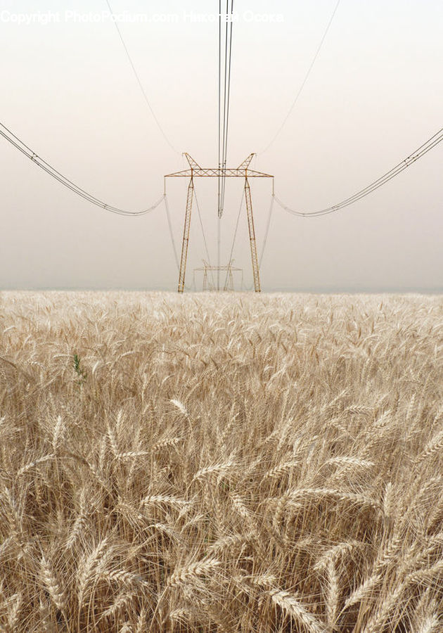 Engine, Machine, Motor, Turbine, Wind Turbine, Grain, Grass