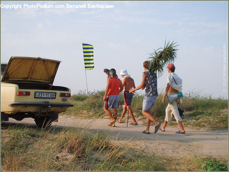 People, Person, Human, Leisure Activities, Walking, Planting, Palm Tree