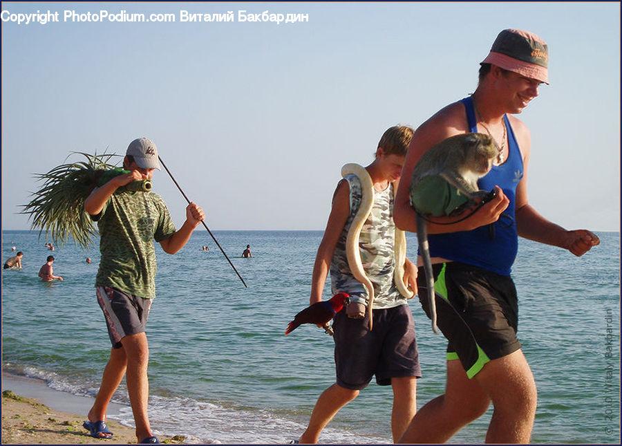 People, Person, Human, Animal, Koala, Mammal, Fishing