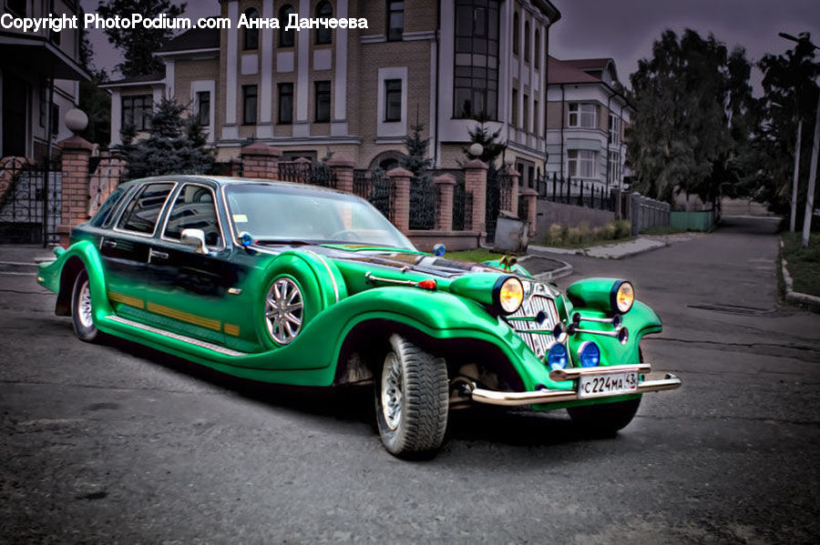Plant, Potted Plant, Automobile, Car, Vehicle, Sedan, Race Car