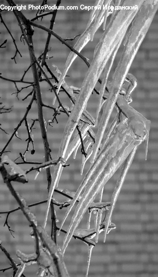Ice, Outdoors, Snow