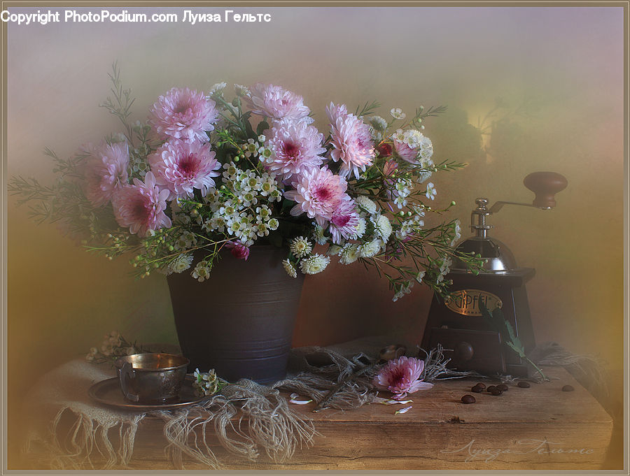 Plant, Potted Plant, Flower Arrangement, Ikebana, Vase, Floral Design, Flower