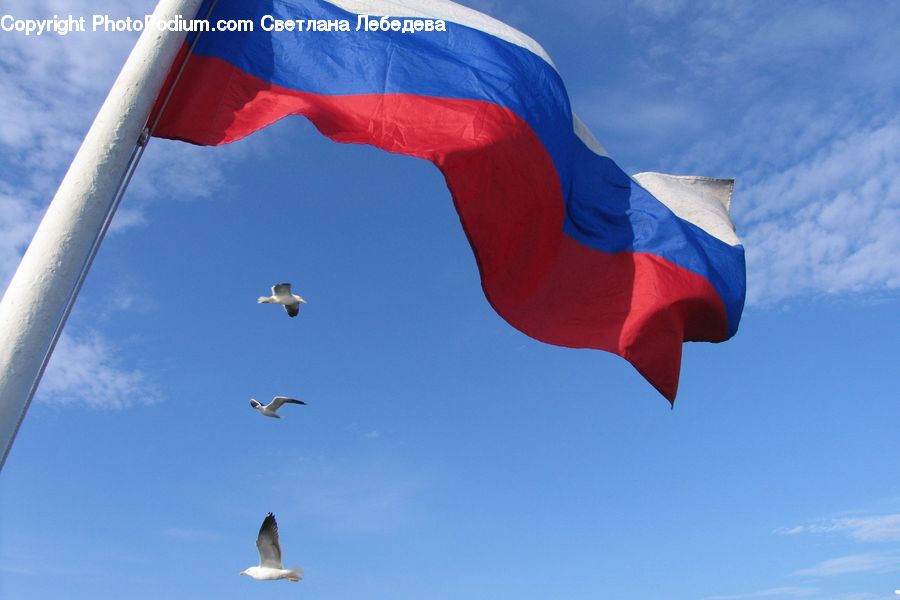 Adventure, Flight, Gliding, Emblem, Flag, Leisure Activities