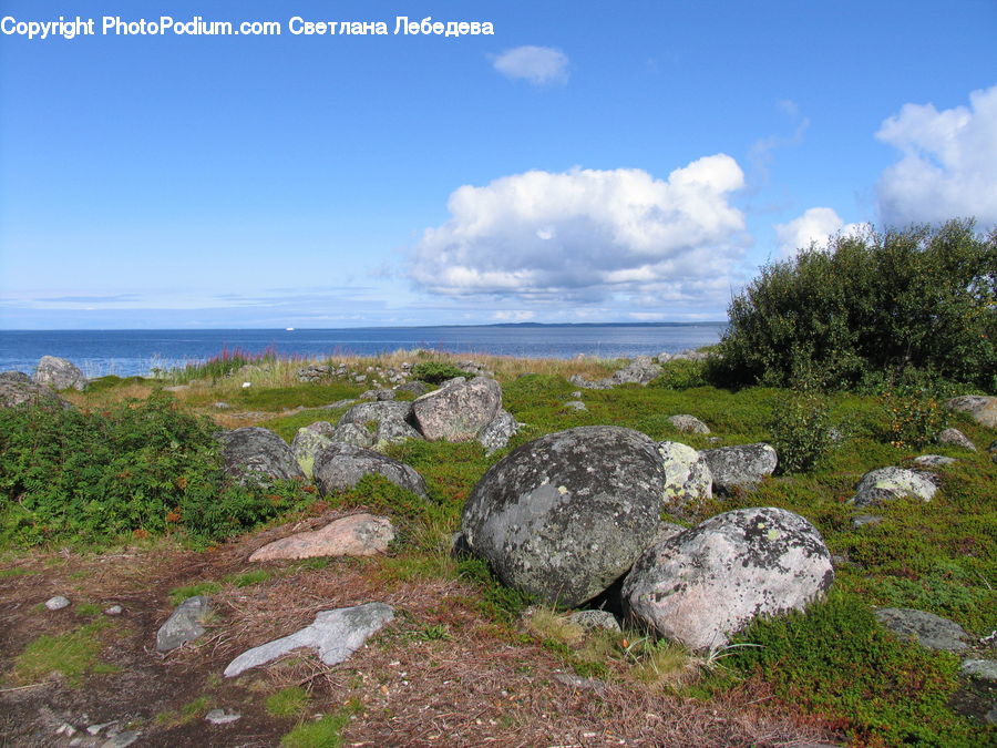 Rock, Outdoors, Plant, Vegetation, Cloud, Cumulus, Sky