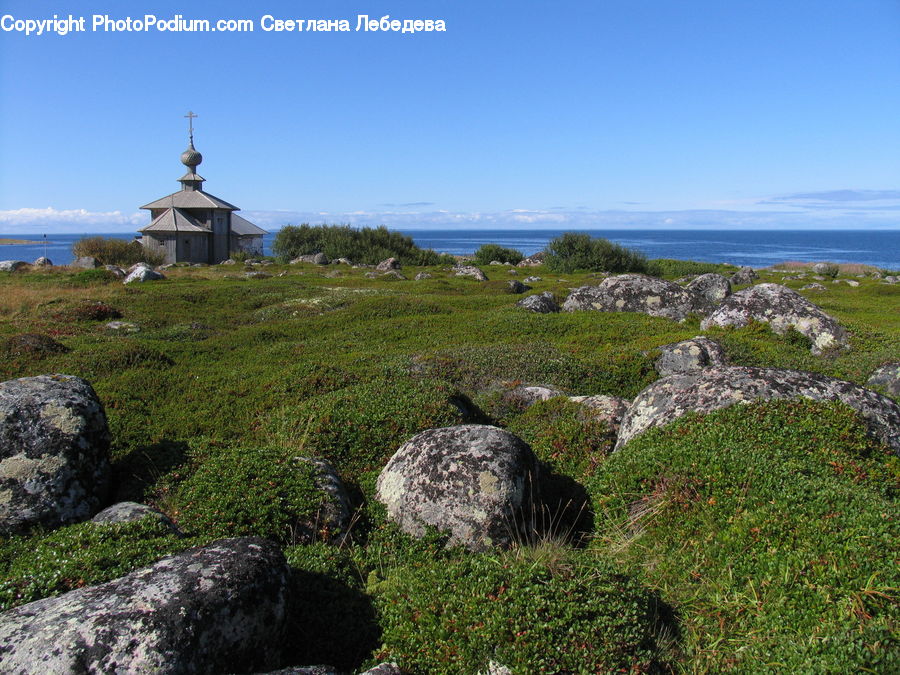 Rock, Beacon, Building, Lighthouse, Water Tower, Bush, Moss