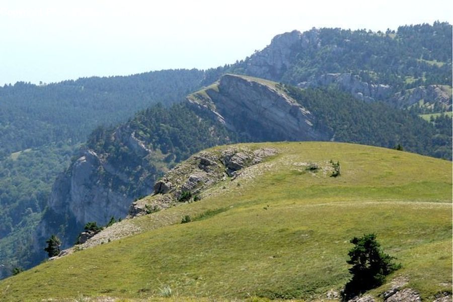 Crest, Mountain, Outdoors, Peak, Plant, Potted Plant, Countryside
