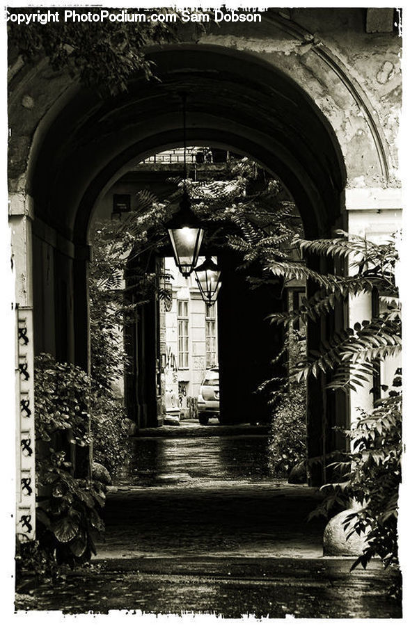 Plant, Potted Plant, Arch, Ruins, Brick, Alley, Alleyway