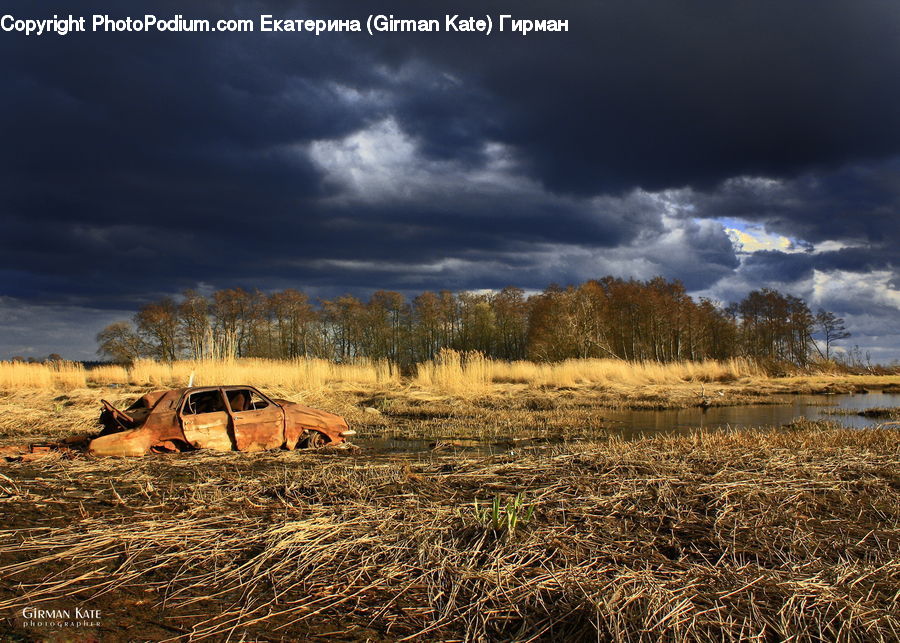 Rust, Field, Grass, Grassland, Land, Outdoors, Cabin