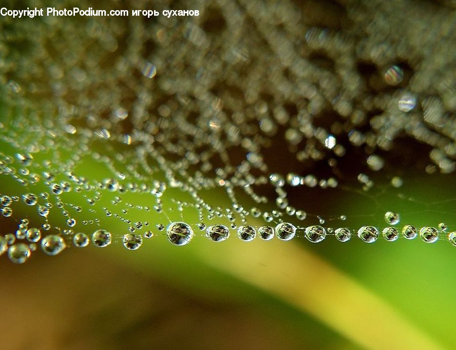 Droplet