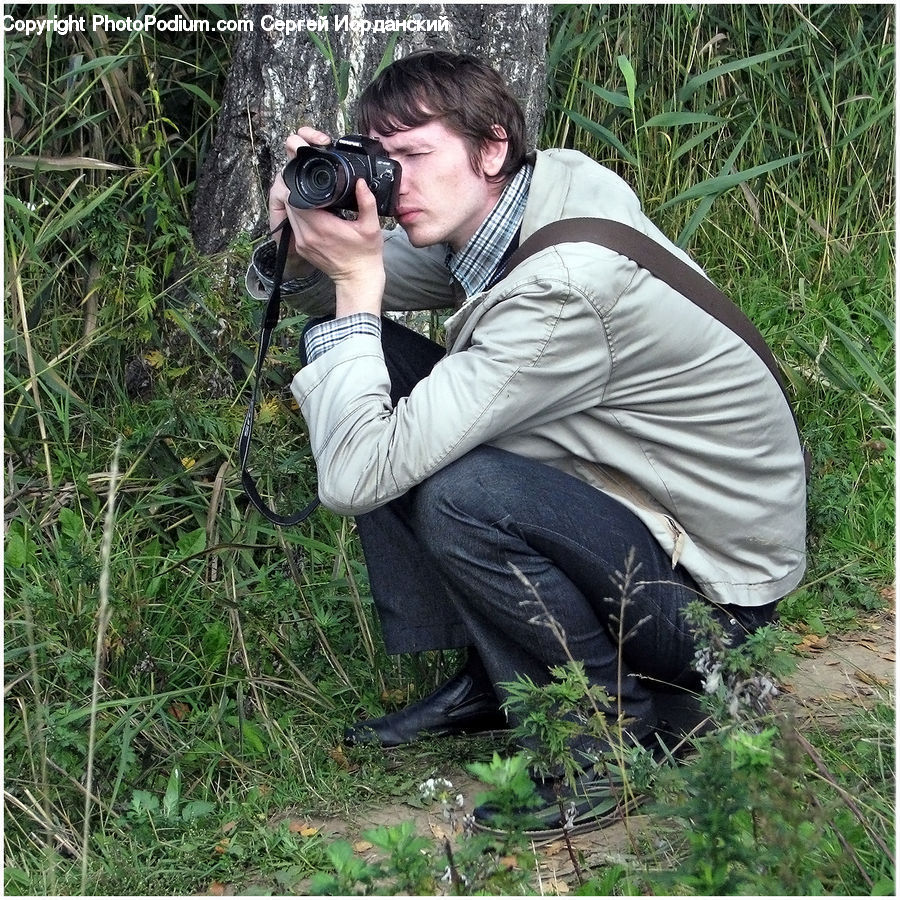 Human, People, Person, Photographer, Forest, Jungle, Conifer
