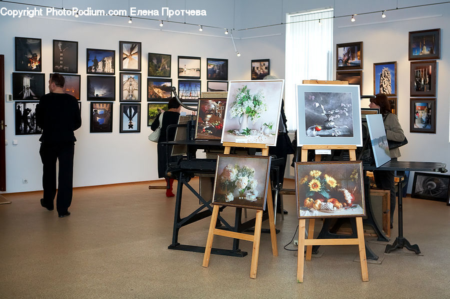People, Person, Human, Plant, Potted Plant, Art, Art Gallery