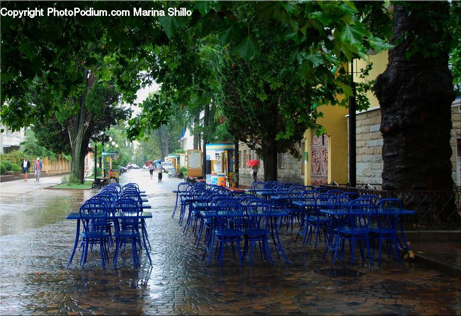 People, Person, Human, Chair, Furniture, Flood, Cafeteria