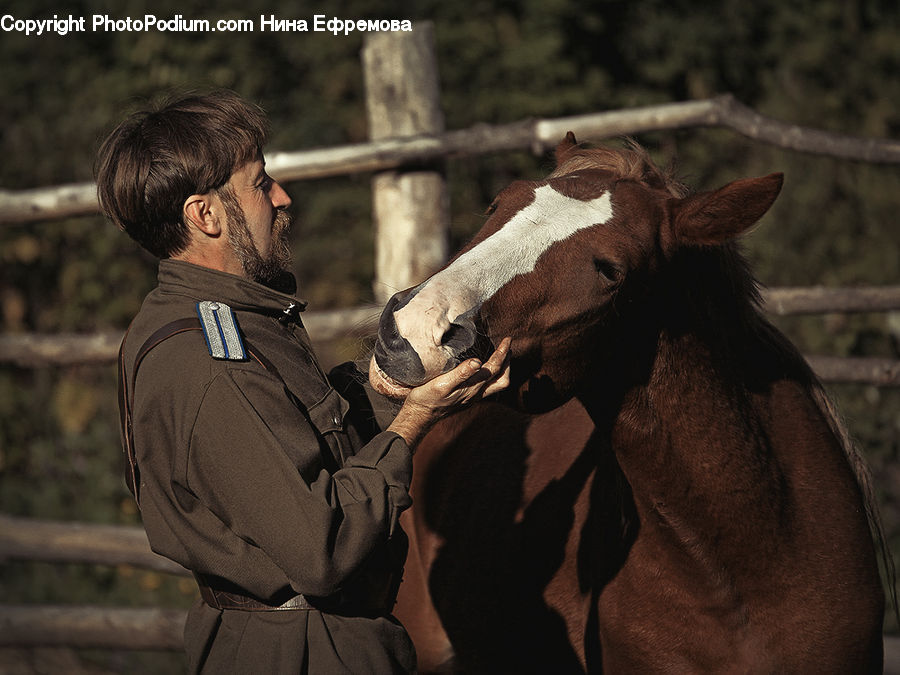 People, Person, Human, Weapon, Animal, Colt Horse, Foal