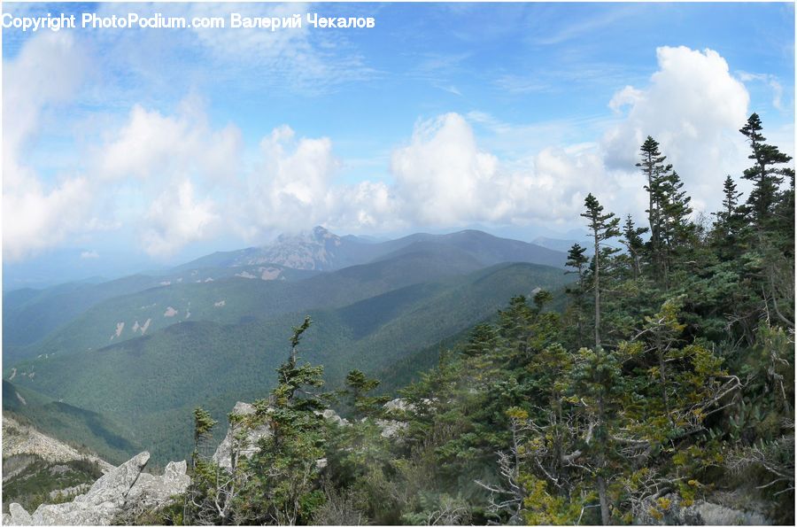 Crest, Mountain, Outdoors, Peak, Conifer, Fir, Spruce