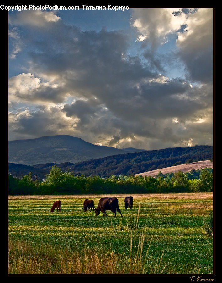 Azure Sky, Cloud, Outdoors, Sky, Countryside, Grassland, Meadow