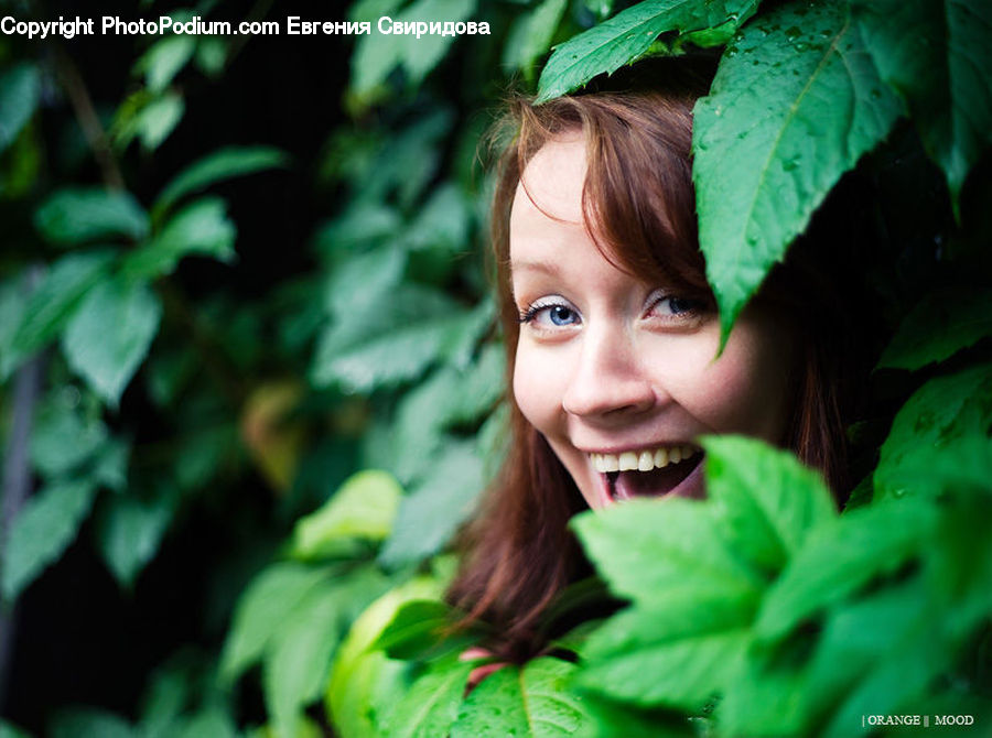 People, Person, Human, Female, Girl, Woman, Ivy