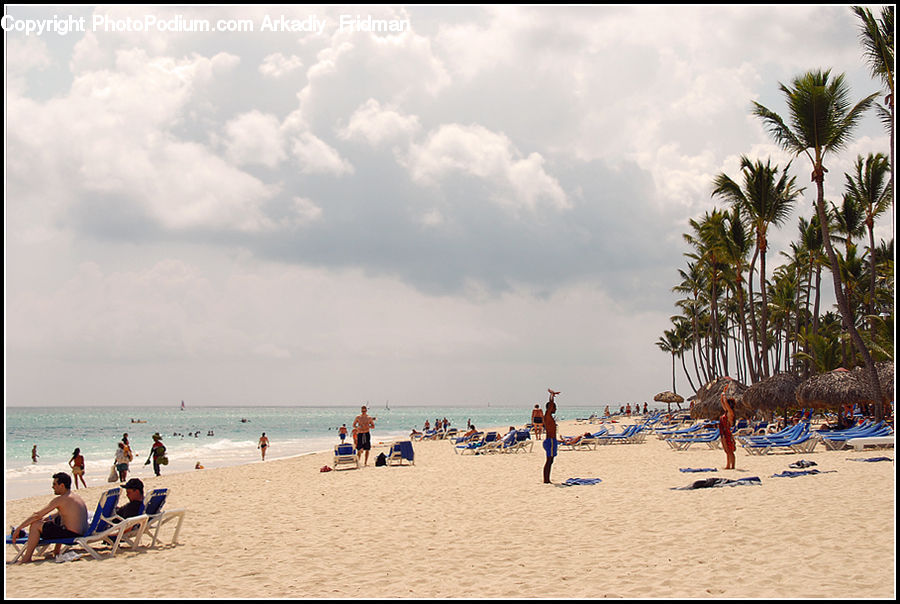 Beach, Coast, Outdoors, Sea, Water, Sand, Soil