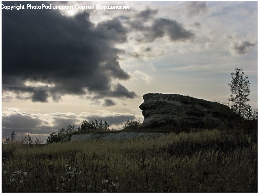 Cloud, Cumulus, Sky, Field, Grass, Grassland, Land
