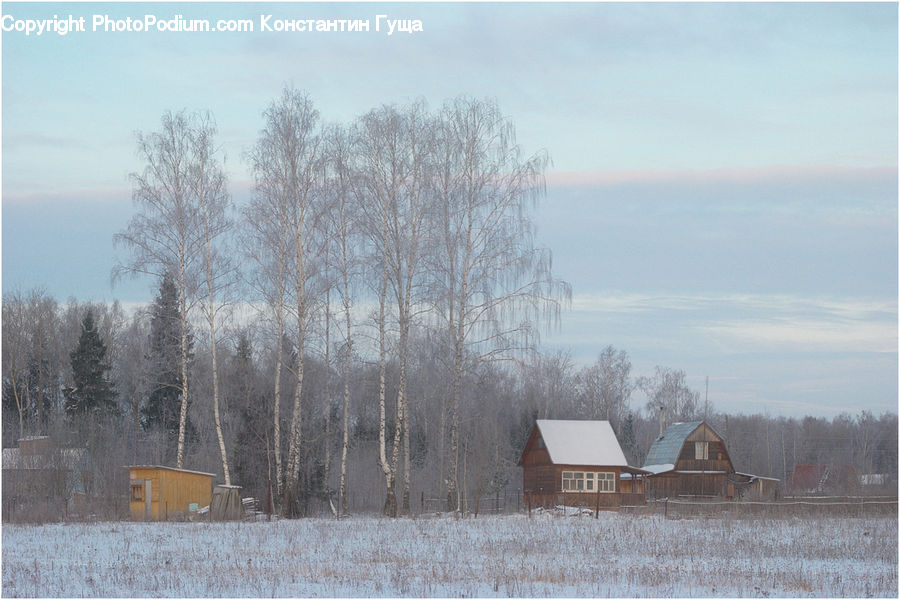 Frost, Ice, Outdoors, Snow, Building, Cottage, Housing