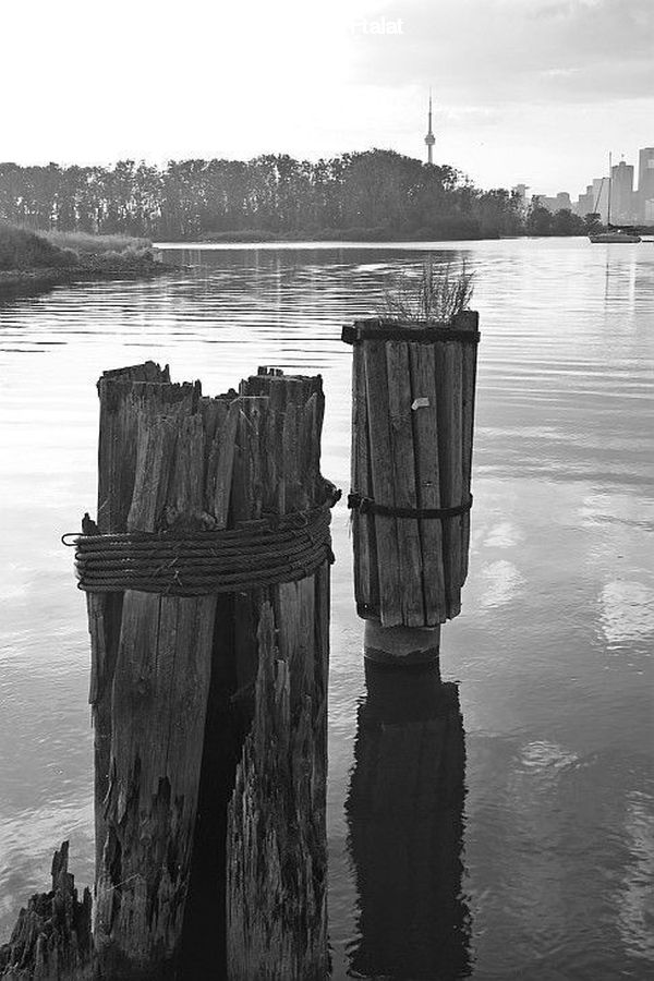 Outdoors, Ripple, Water, Dock, Landing, Pier, Coast