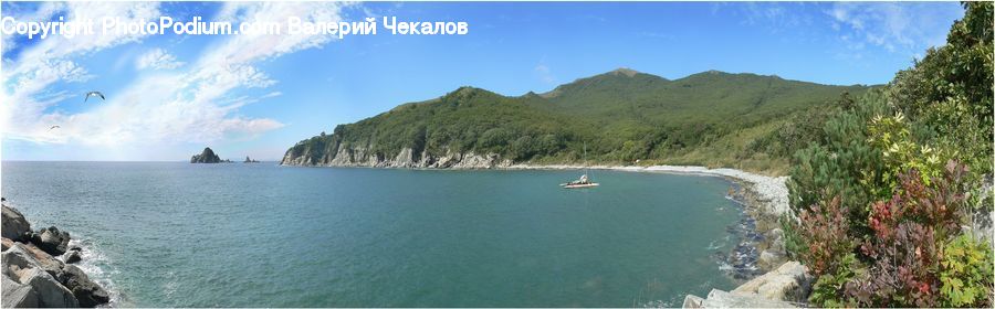 Coast, Cove, Outdoors, Sea, Water, Plant, Vegetation