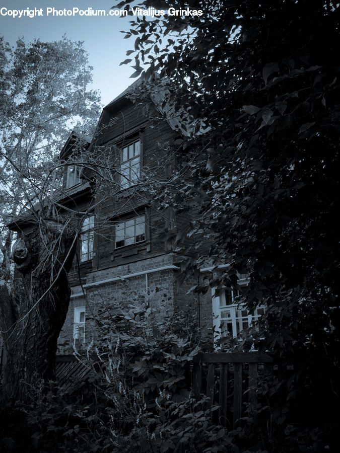 Architecture, Mansion, Building, Cottage, Housing, Plant, Tree