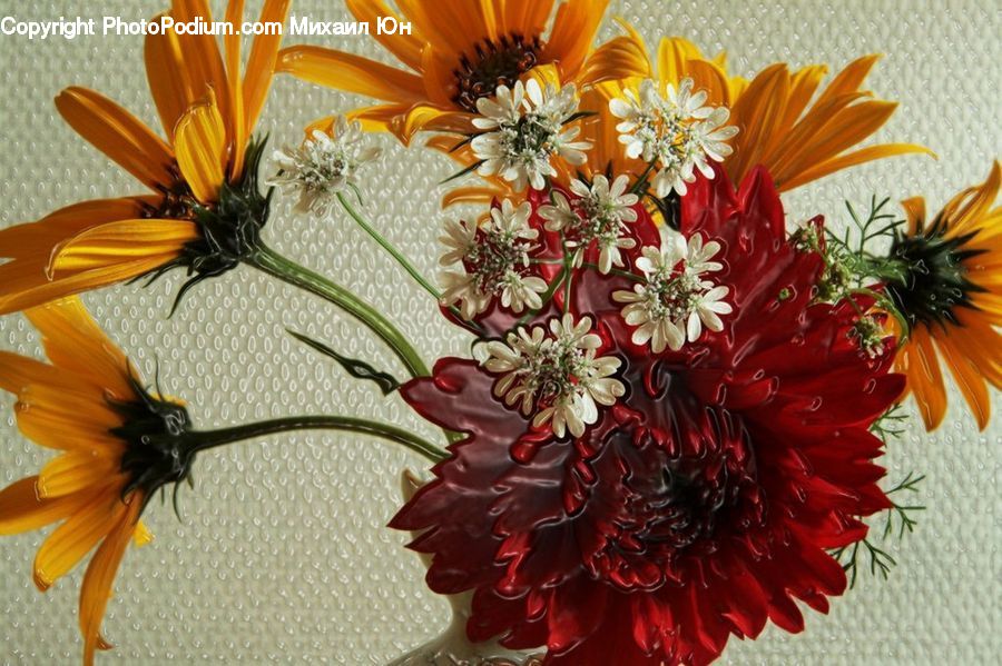 Floral Design, Flower, Flower Arrangement, Flower Bouquet, Ikebana, Asteraceae, Blossom