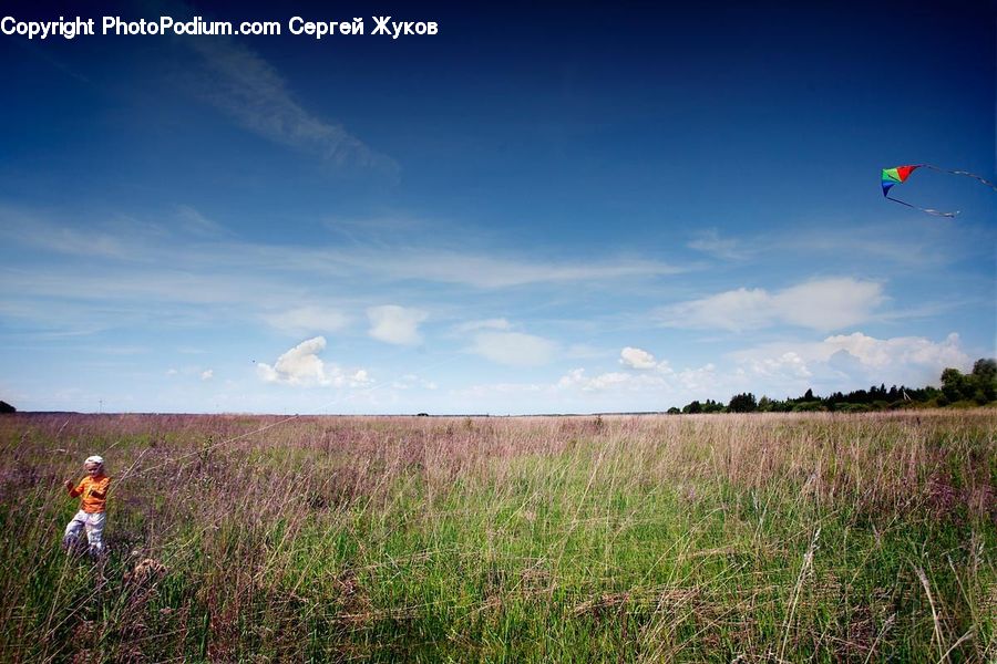Field, Grass, Grassland, Land, Outdoors, Plant, Landscape