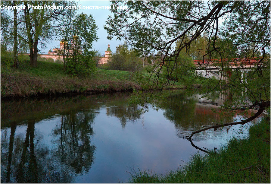 Outdoors, Pond, Water, Field, Grass, Grassland, Plant