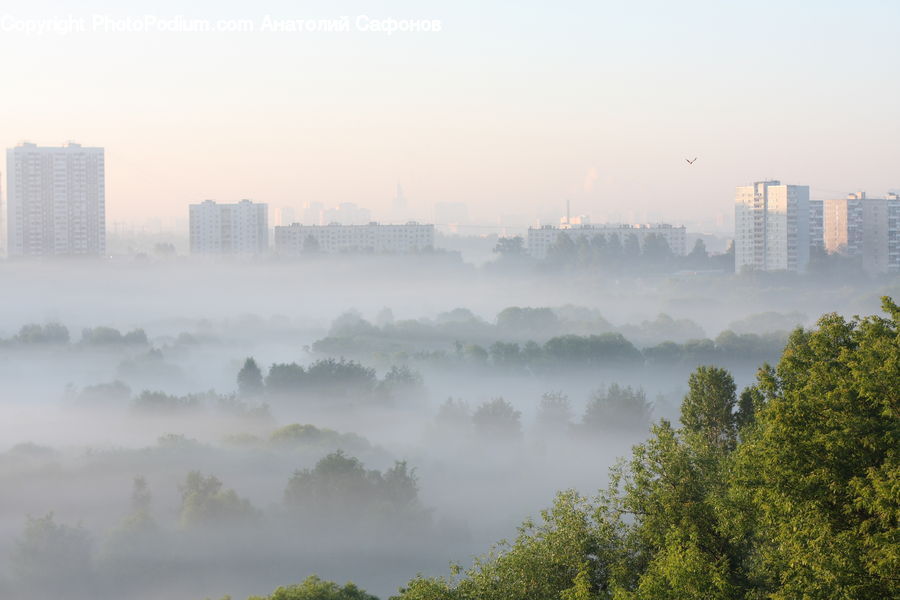 Fog, Mist, Outdoors, Pollution, Smog, Smoke, Building